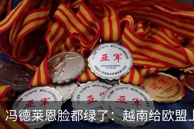 冯德莱恩脸都绿了：越南给欧盟上了一课：什么叫，“中国力量”！